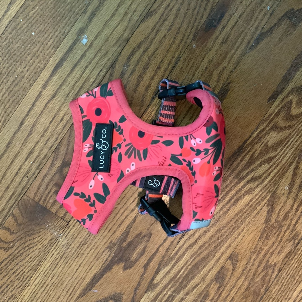 Double sided harnesses